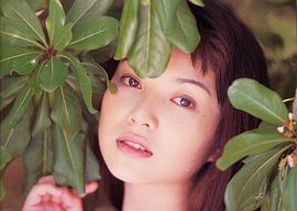 鸫